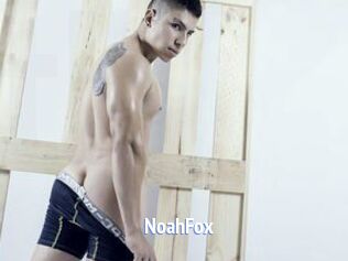 NoahFox