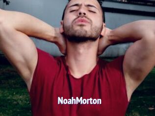 NoahMorton