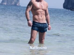 Nattenino