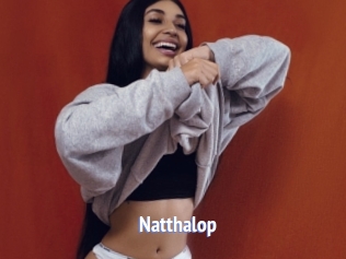 Natthalop