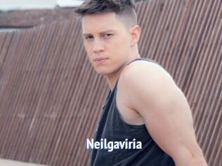 Neilgaviria