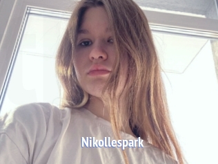 Nikollespark