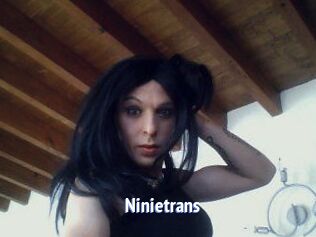Ninietrans