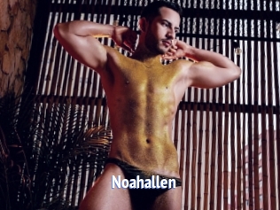 Noahallen