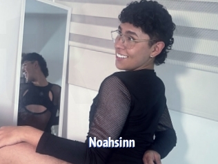 Noahsinn