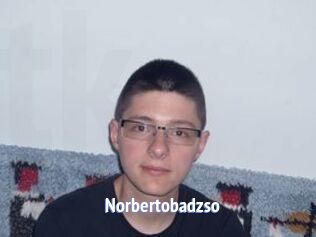 Norbertobadzso