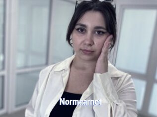Normaarnet