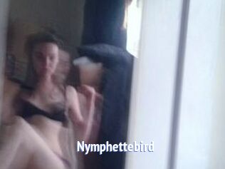 Nymphettebird