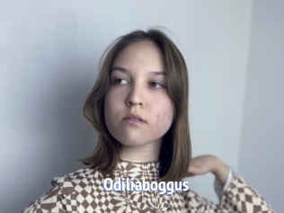 Odiliaboggus