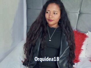 Orquidea18