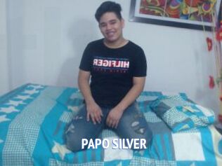 PAPO_SILVER
