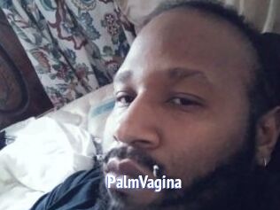 PalmVagina