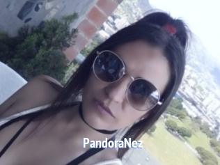 PandoraNez Telefon Kontakte