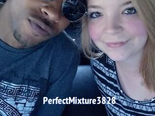 PerfectMixture3828