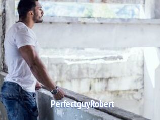 PerfectguyRobert