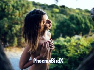 PhoenixBirdX