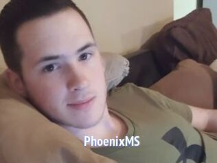 PhoenixMS