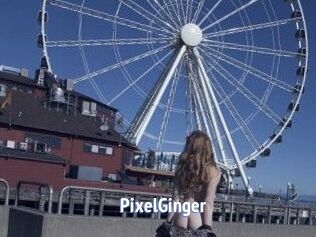 PixelGinger