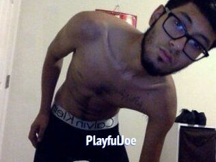 PlayfulJoe