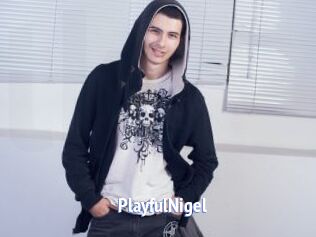 PlayfulNigel
