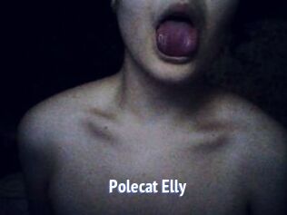 Polecat_Elly