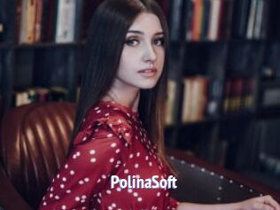 PolinaSoft