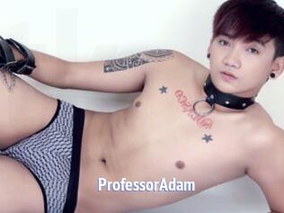 ProfessorAdam