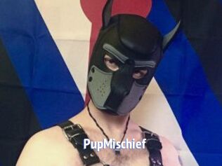 PupMischief