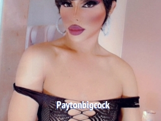 Paytonbigcock