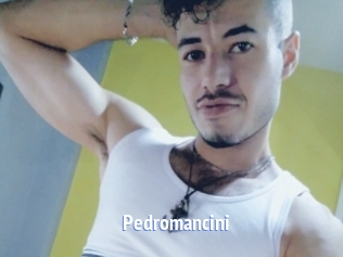 Pedromancini