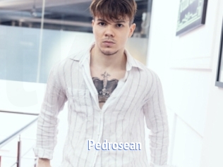 pedrosean Telefon Kontakte