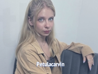 Petulacarvin