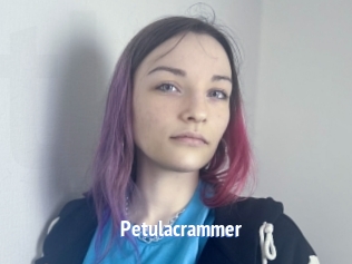 Petulacrammer