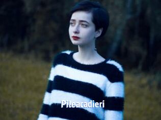 Pileacadieri