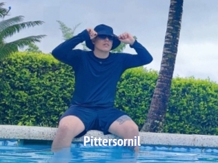 pittersornil Telefon Kontakte