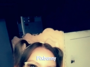 pixbunny Telefon Kontakte