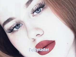 Pollynaster