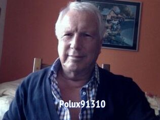 Polux91310