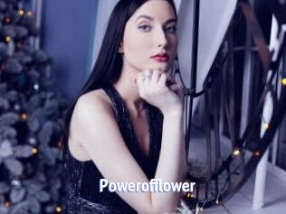 Powerofflower