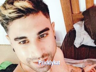 Pricklykat