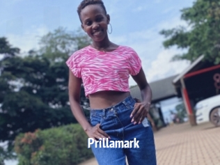 Prillamark