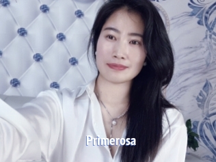primerosa Telefon Kontakte
