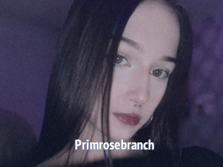 Primrosebranch