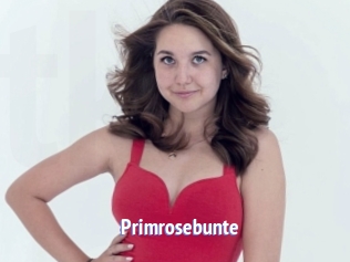 Primrosebunte