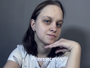 Primrosecarvin