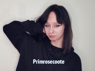 Primrosecoote