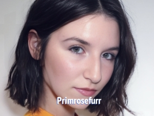 Primrosefurr