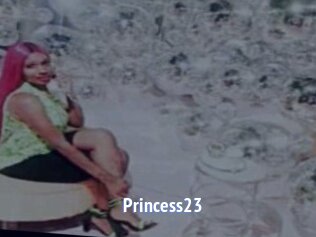 Princess23