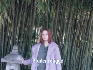 Prudencefigge