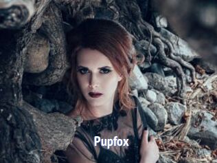 Pupfox